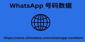 WhatsApp 号码数据