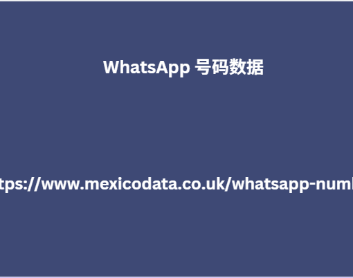 WhatsApp 号码数据